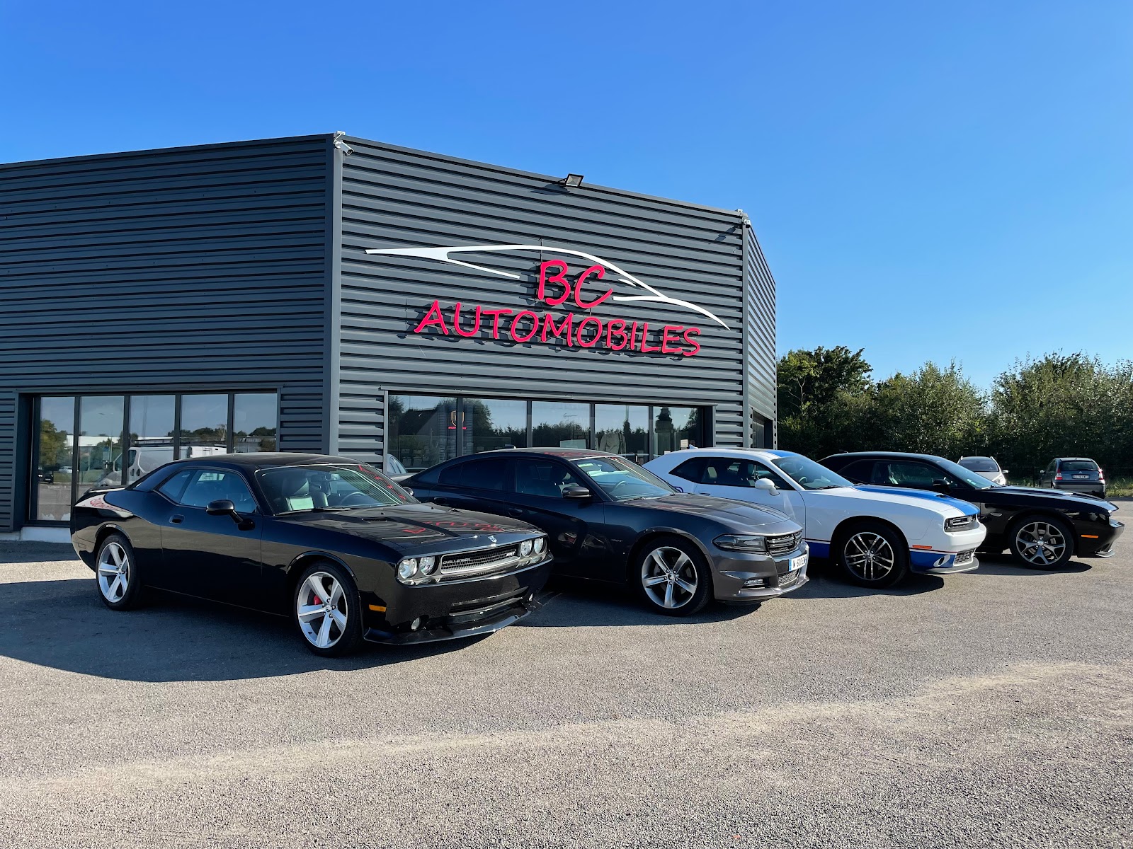 BC AUTOMOBILES -CHÂTEAUROUX - CHEVAL LIBERTÉ CHATEAUROUX