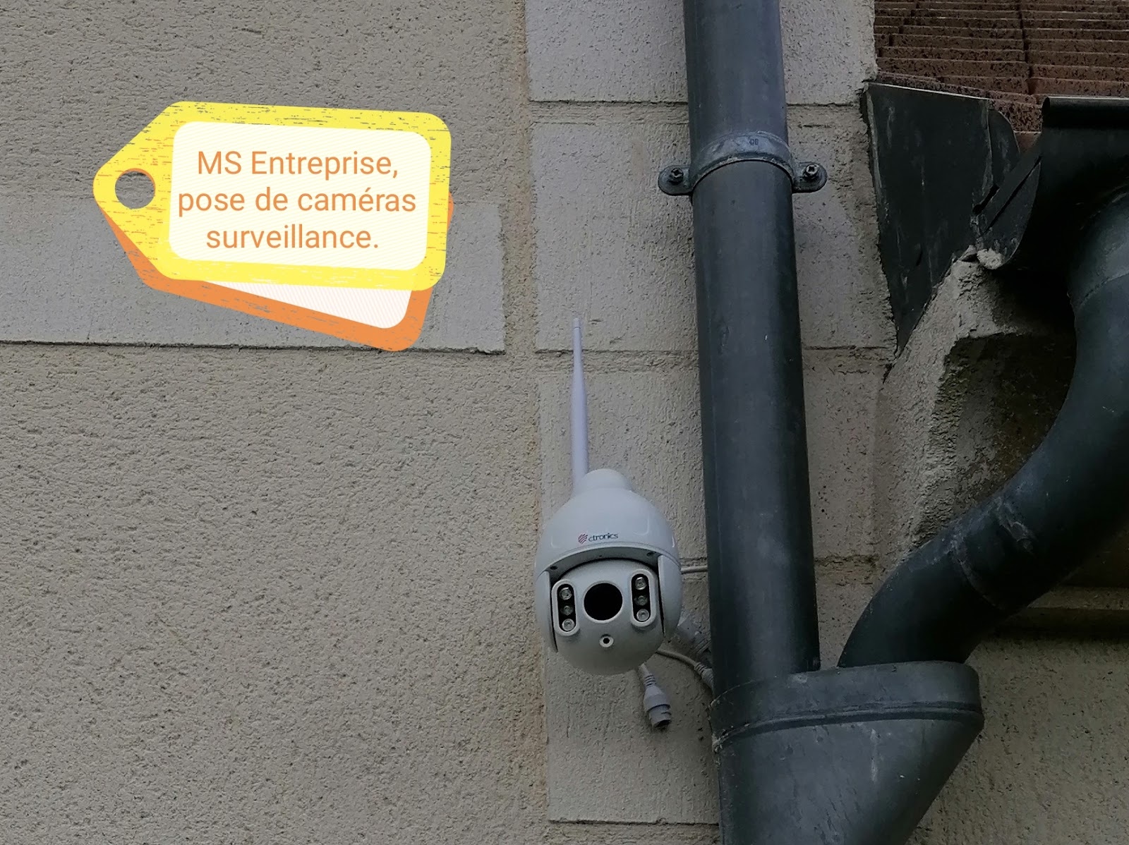 MS Entreprise Entrepreneur individuel