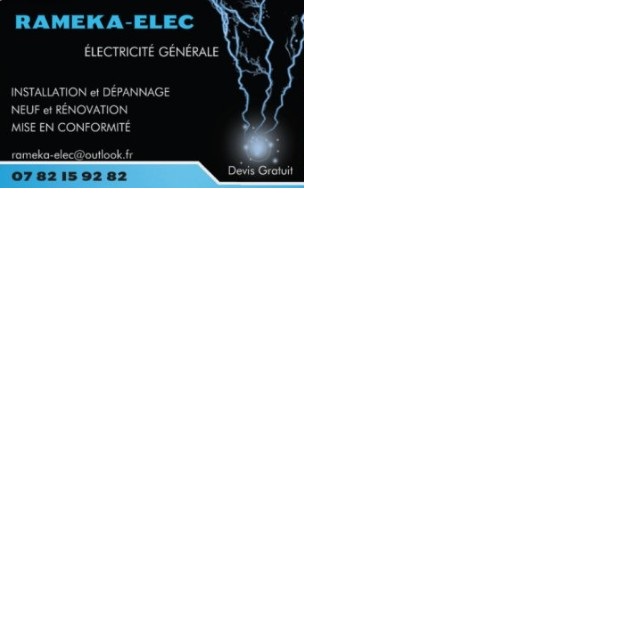 Logo de RAMEKA-ELEC