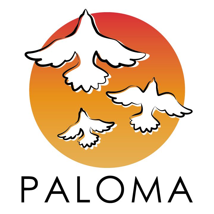 Logo de Paloma electricite