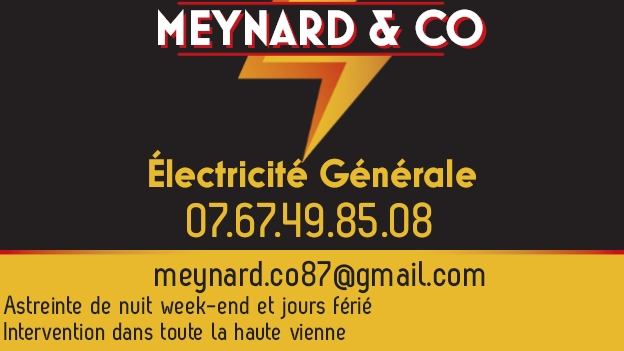 Logo de Meynard & Co