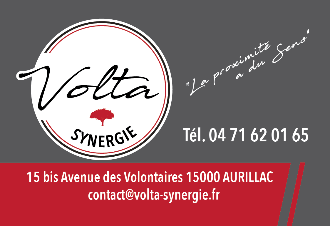 Logo de Volta Synergie