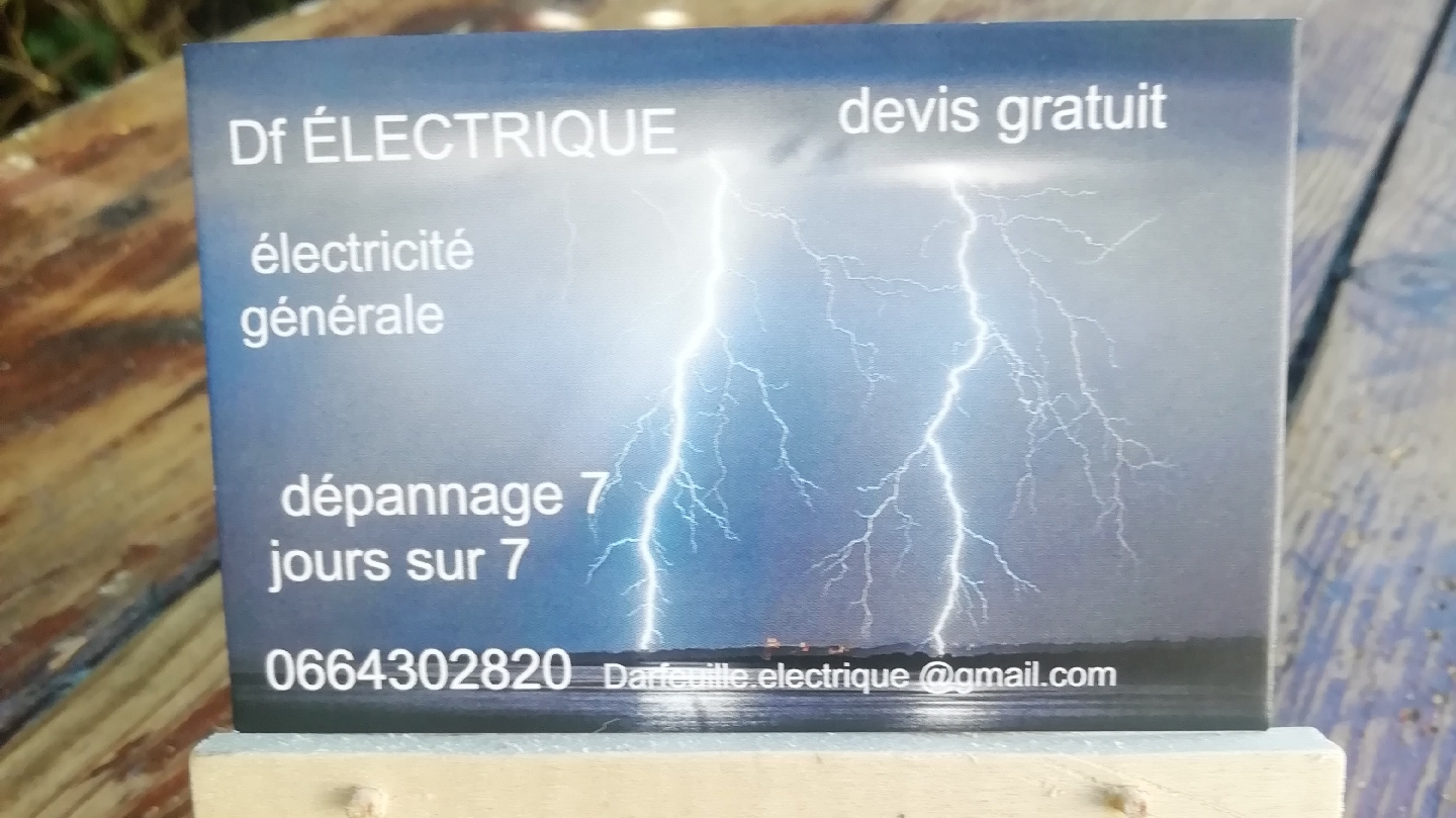 DF ELECTRIQUE