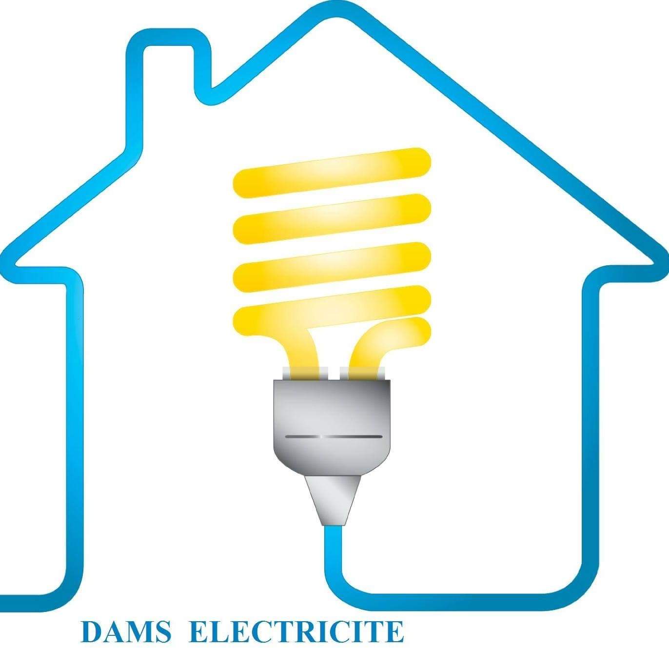 Dams Electricité