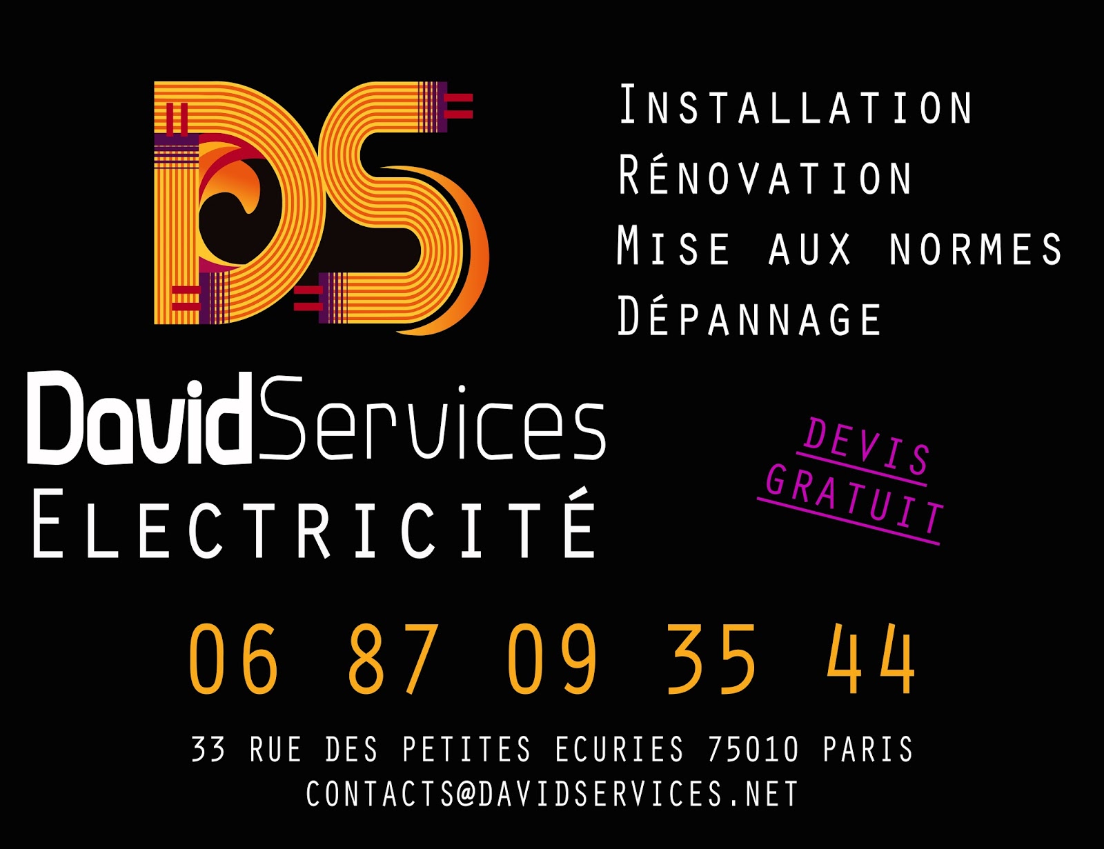 Logo de David Services