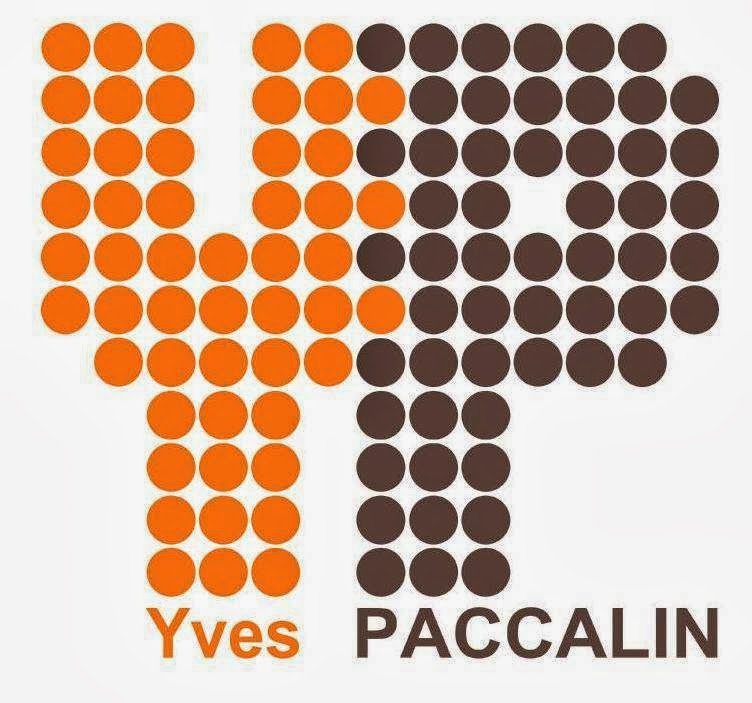 Logo de Yves PACCALIN ELECTRICITE