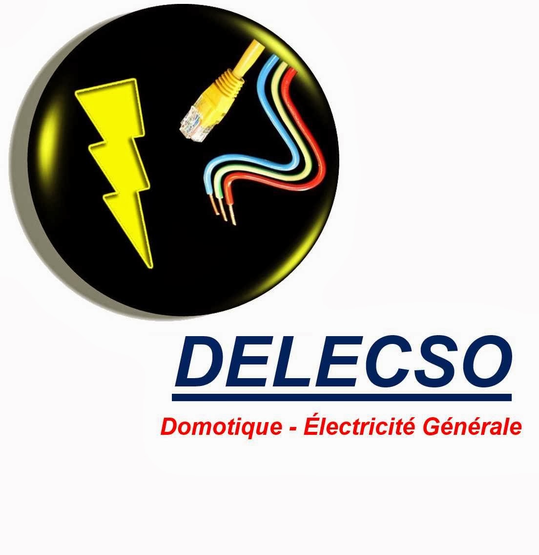 Logo de DELECSO