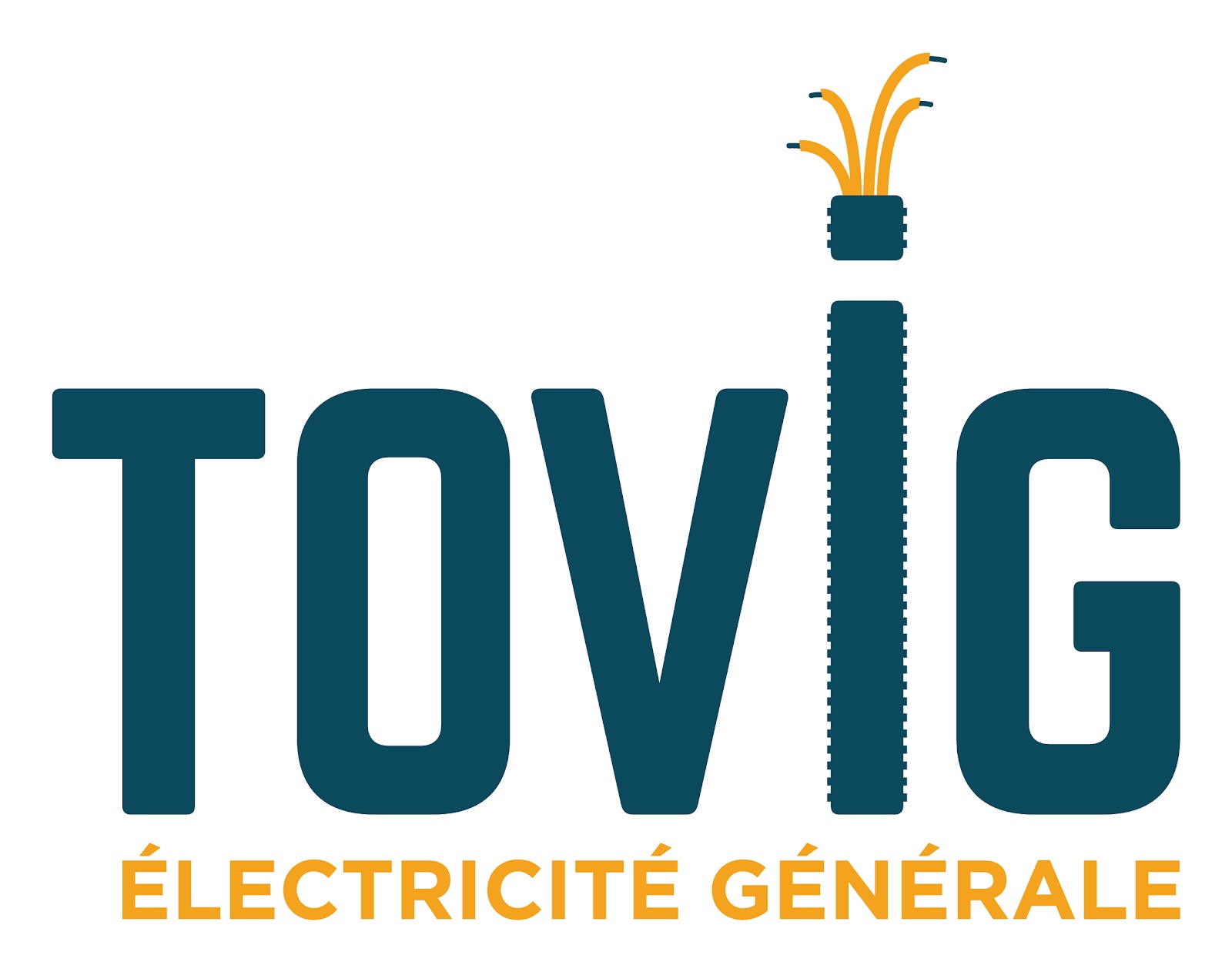 Logo de TOVIG