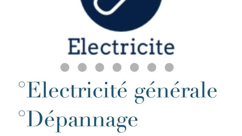 Logo de Berline elec