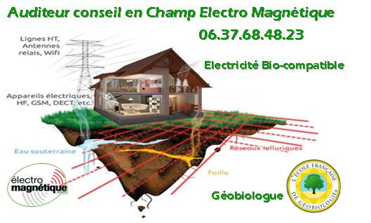 Witt-Elec Electricité Biocompatible