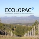 Ecolopac