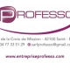 PROFESSO ELECTRICITE