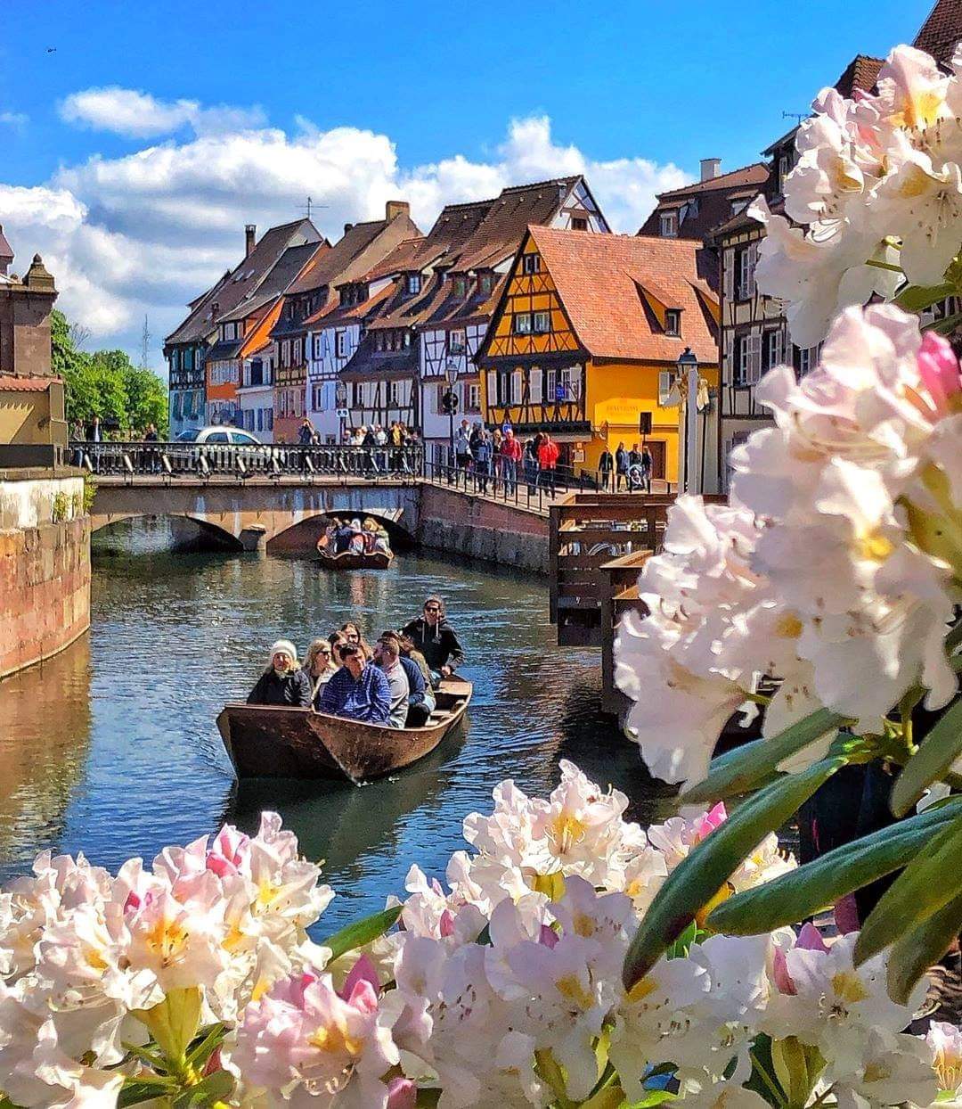 Colmar