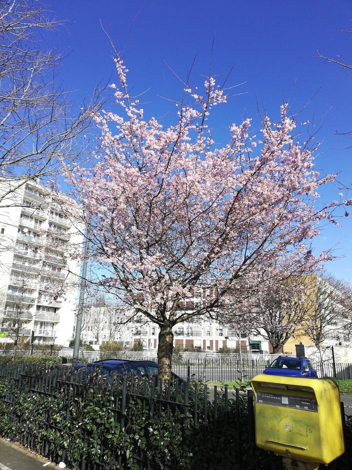 Le Blanc-Mesnil