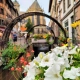 Colmar